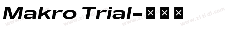Makro Trial字体转换